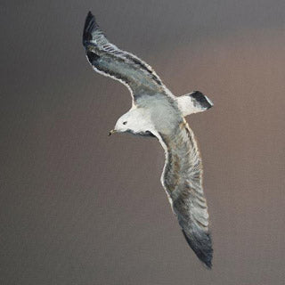 Meeuw Muurschildering op Maat - Prijs op Aanvraag