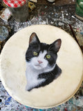 Black and white cat Eddie, hand-painted portrait from photo, can be ordered in oil on tambourine, 20 cm