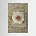 Botanico stokroos relief
