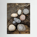 Stone henge printed on Art Canvas 