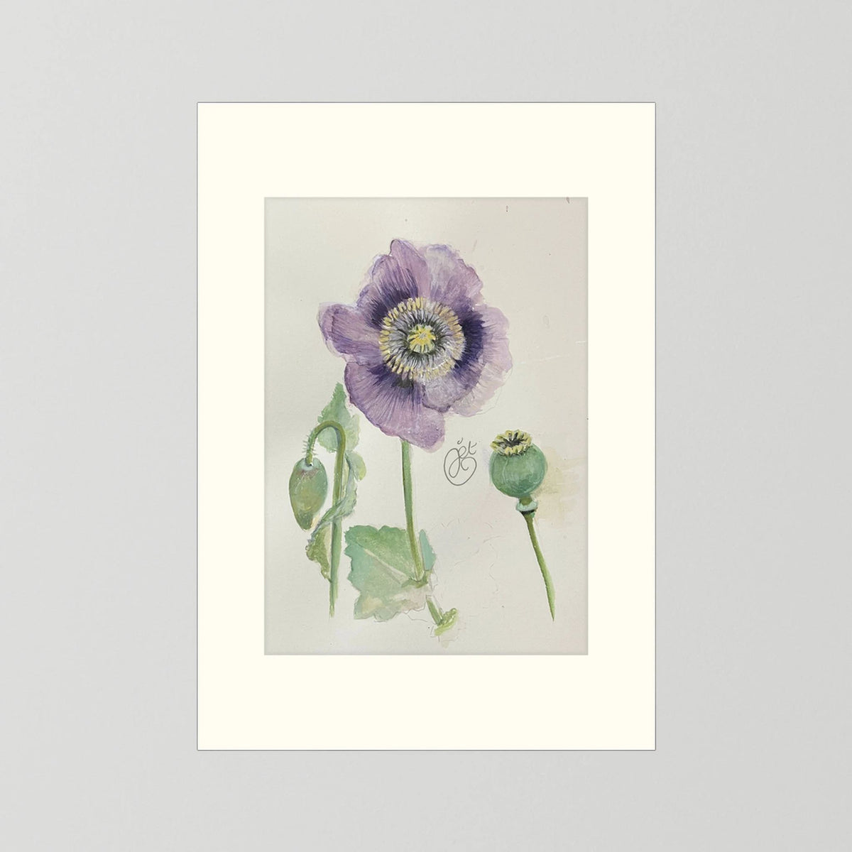 Botanische Papaver print on high quality art paper