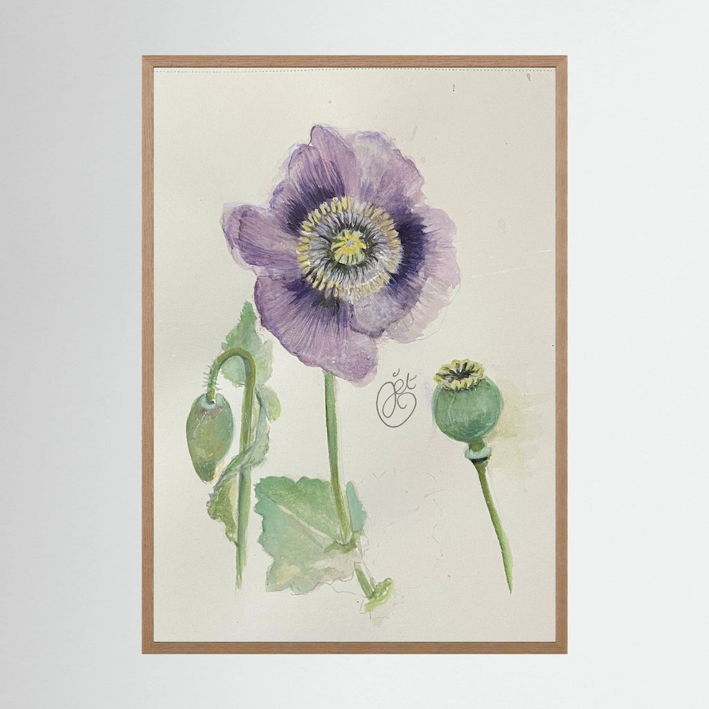 Botanische Papaver print on high quality art paper