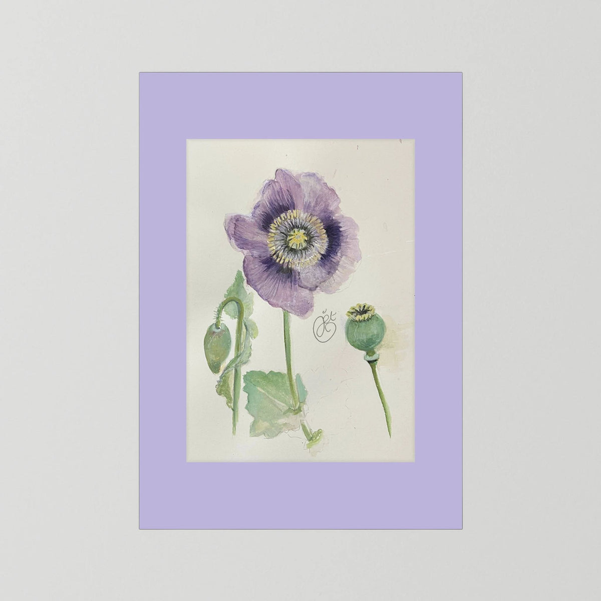 Botanische Papaver print on high quality art paper