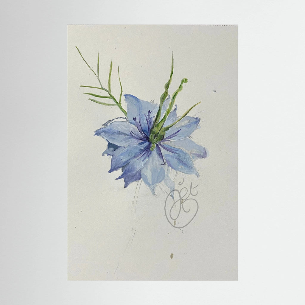 Flower Love- in-a-Mist on printed art canvas 