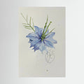 Flower Love- in-a-Mist on printed art canvas 