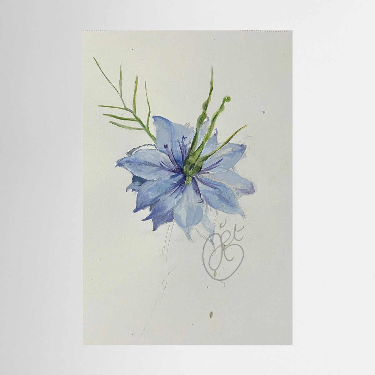 Flower Love- in-a-Mist on printed art canvas 