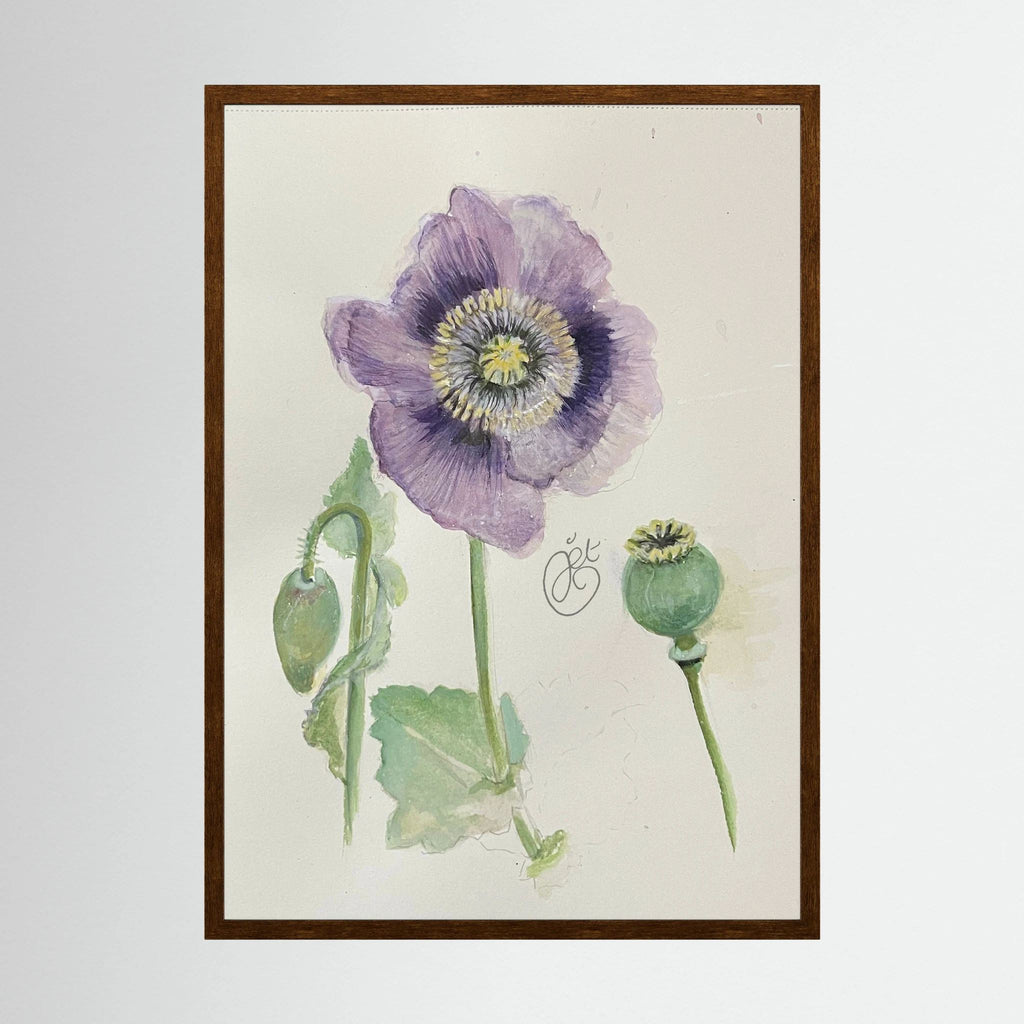 Botanische Papaver print on high quality art paper