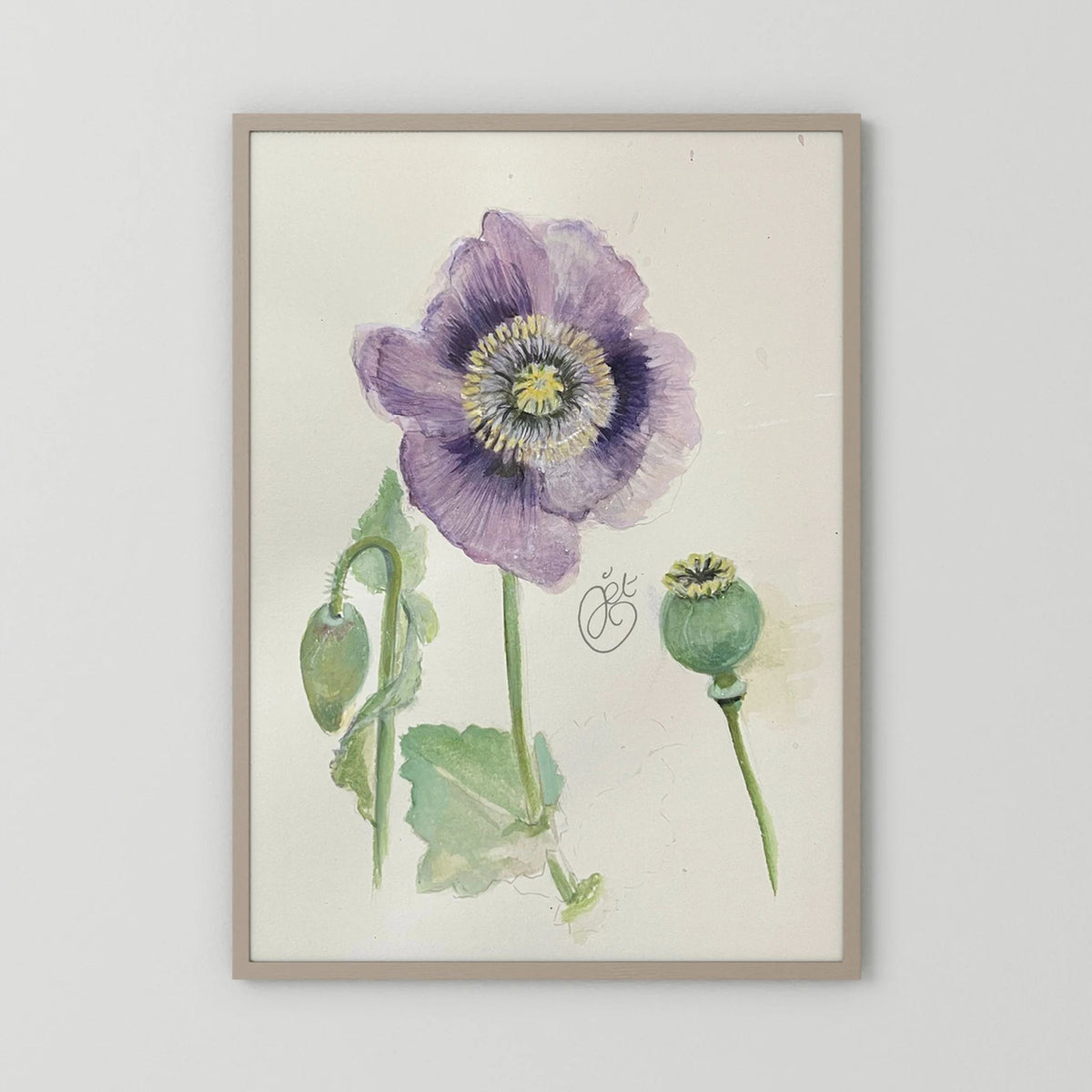 Botanische Papaver print on high quality art paper