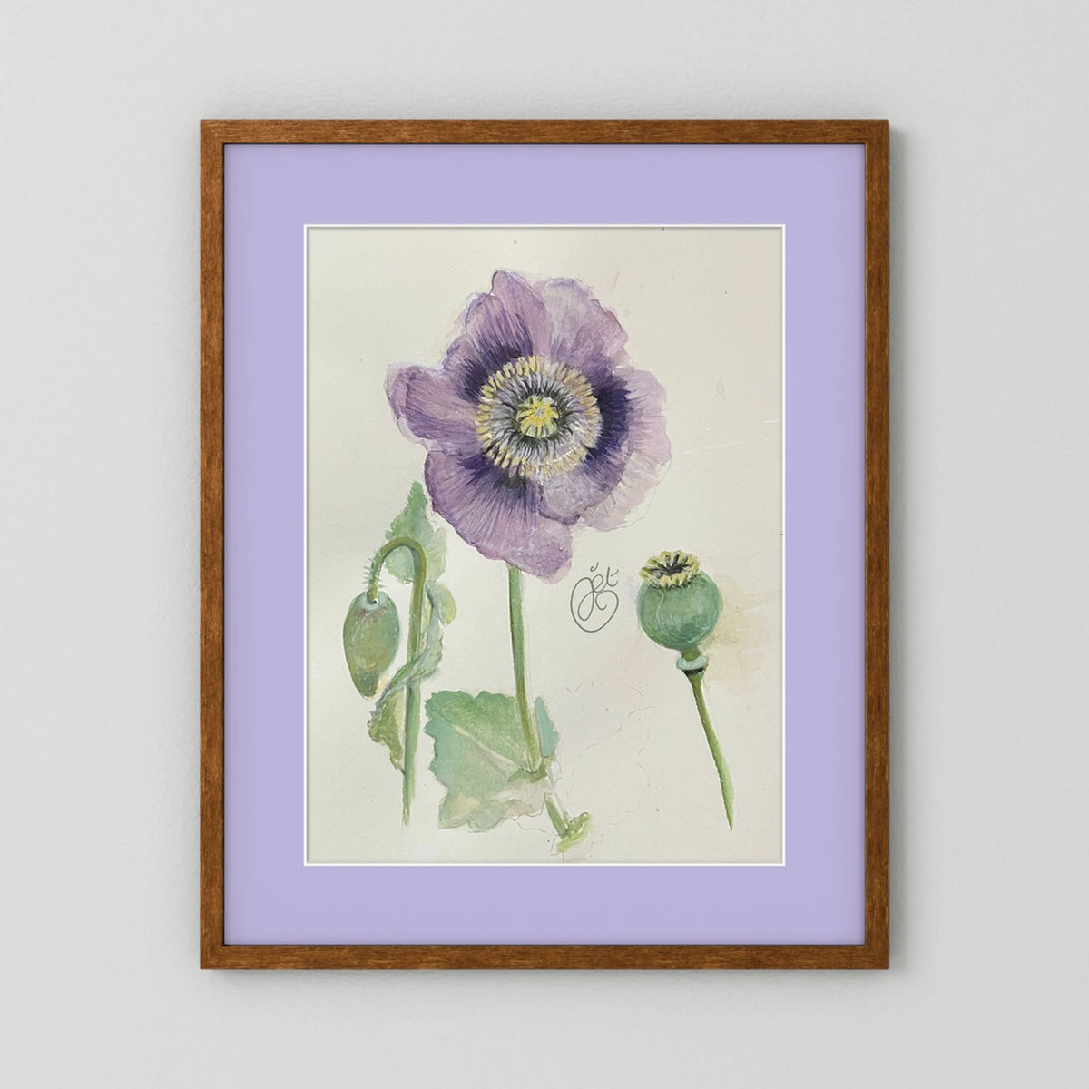 Botanische Papaver print on high quality art paper