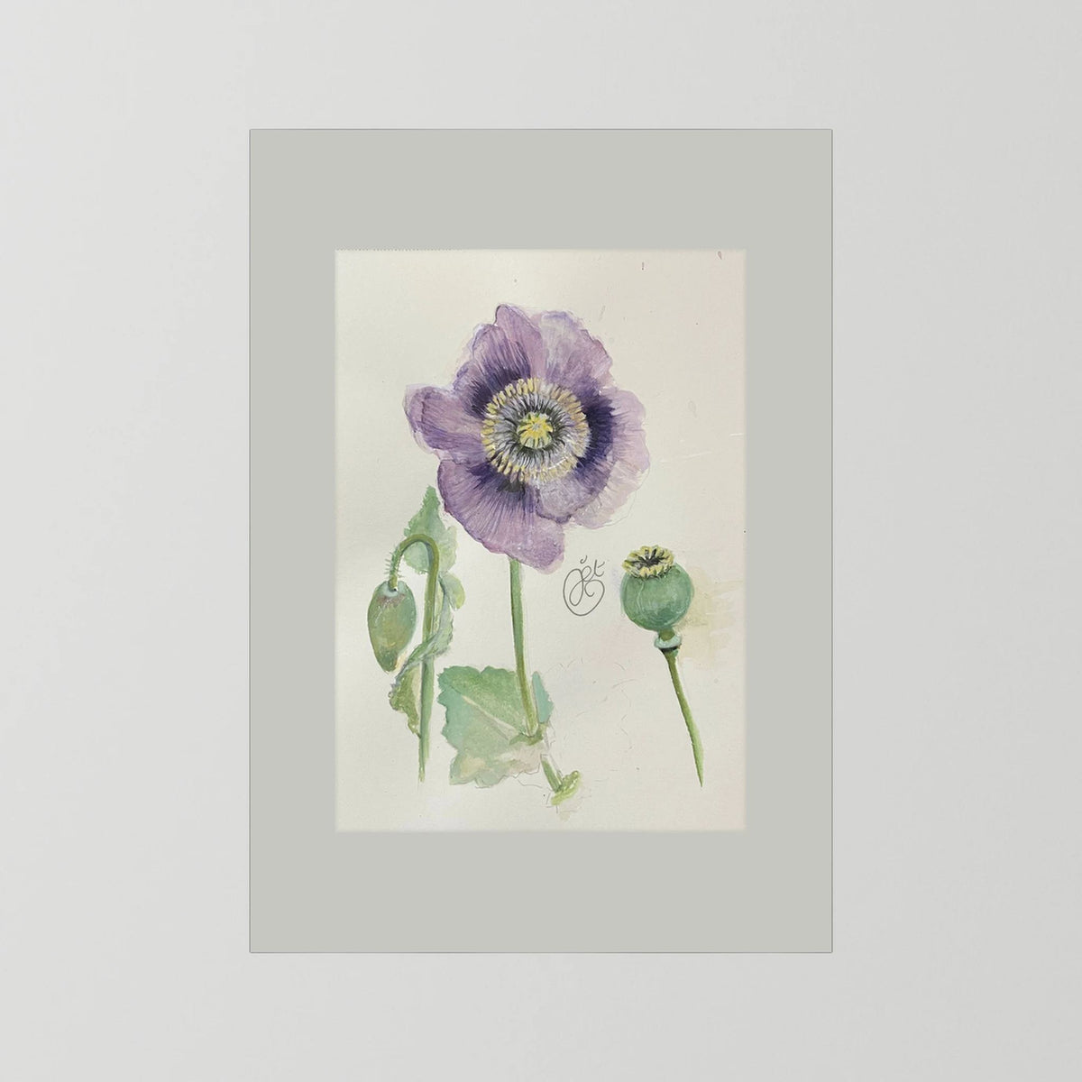 Botanische Papaver print on high quality art paper