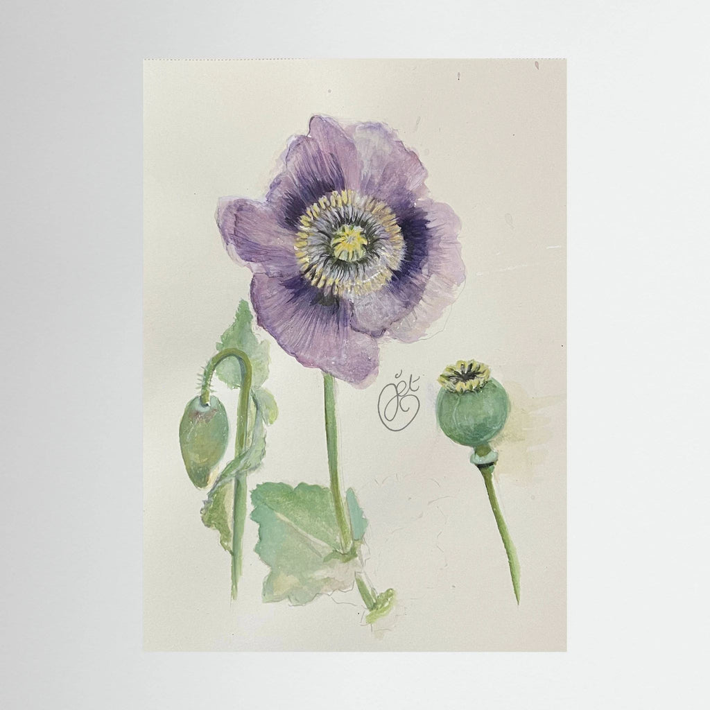 Botanische Papaver on Printed Art Canvas 