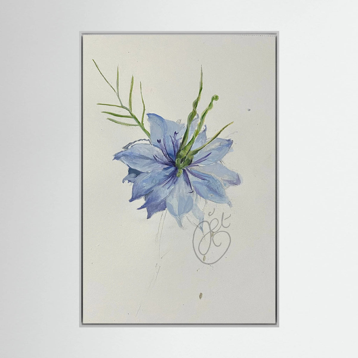 Flower Love- in-a-Mist on printed art canvas 