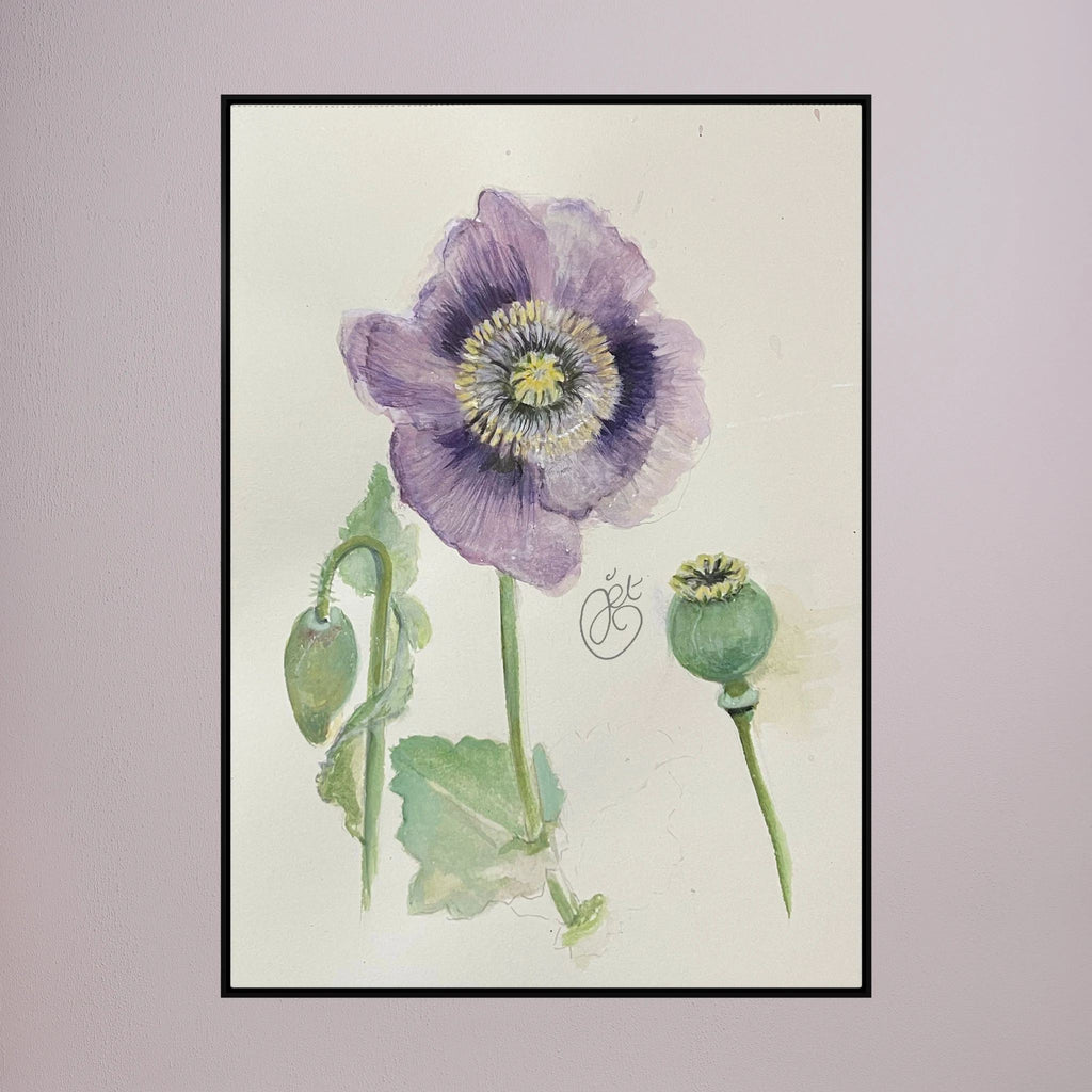 Botanische Papaver on Printed Art Canvas 
