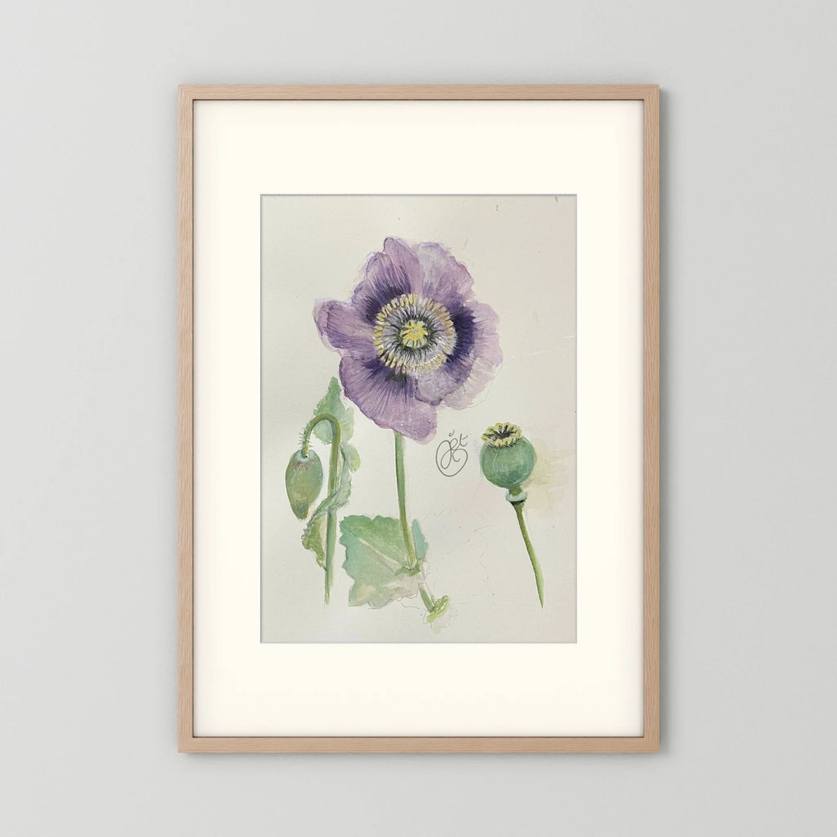 Botanische Papaver print on high quality art paper