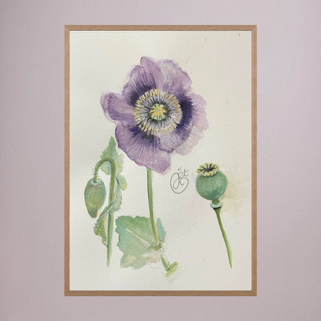 Botanische Papaver print on high quality art paper