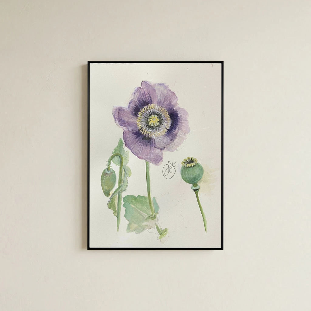 Botanische Papaver on Printed Art Canvas 