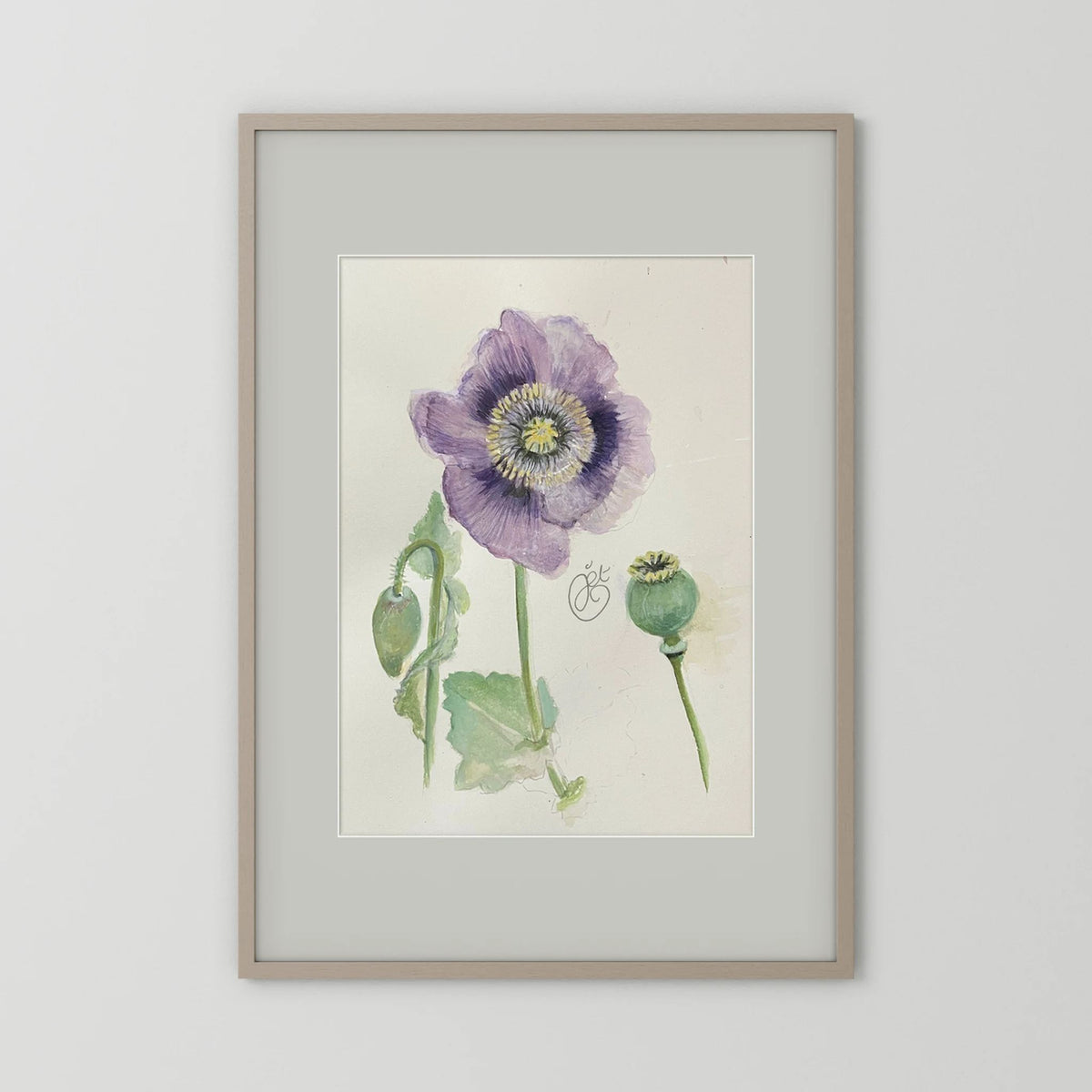 Botanische Papaver print on high quality art paper