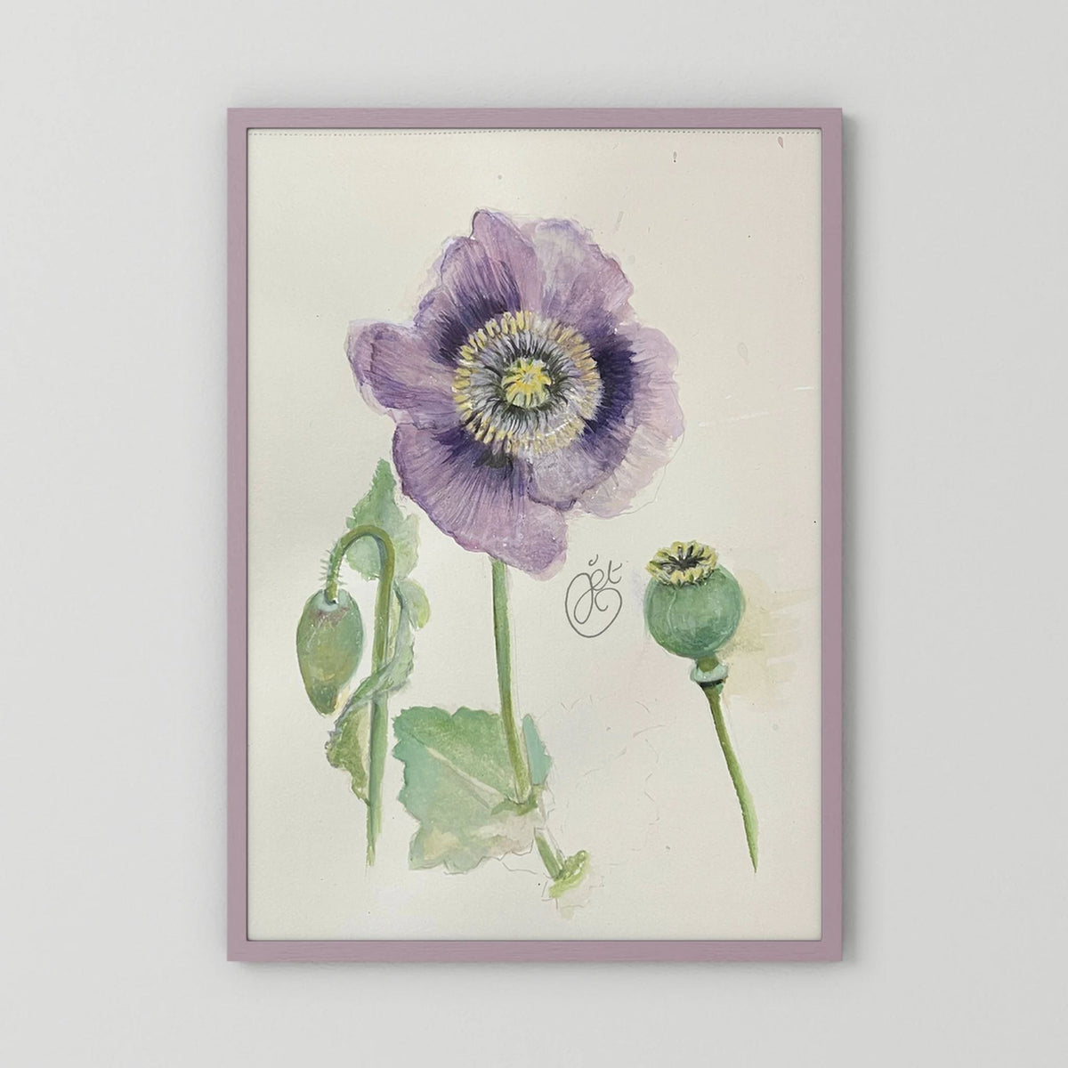 Botanische Papaver print on high quality art paper
