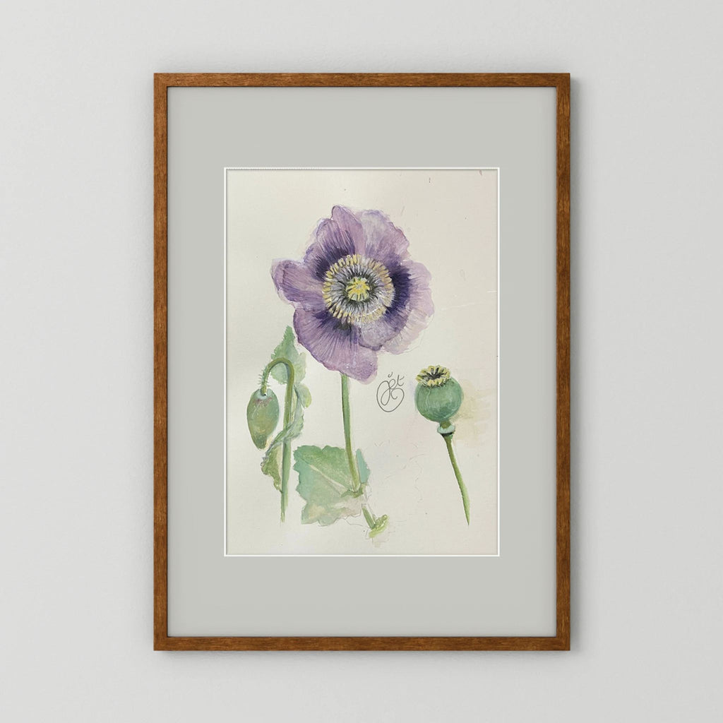 Botanische Papaver print on high quality art paper