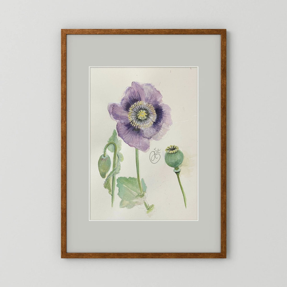 Botanische Papaver print on high quality art paper