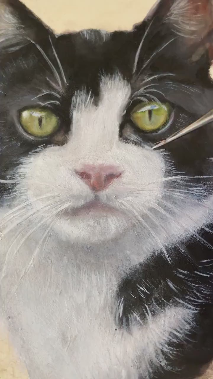 Black and white cat Eddie, hand-painted portrait from photo, can be ordered in oil on tambourine, 20 cm